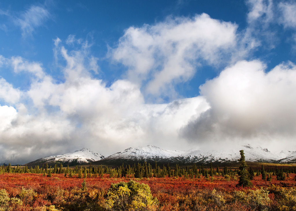Maravilhas da Natureza - Denali: A montanha que reina sobre Alasca 09