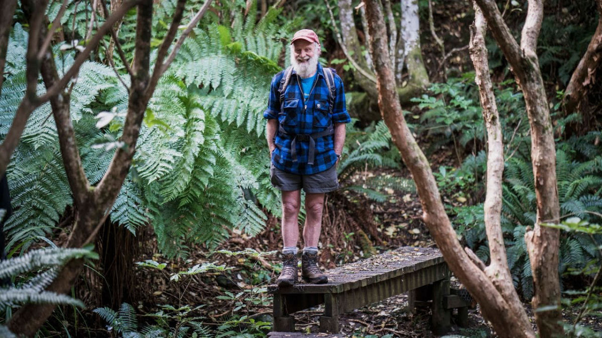 Neozelandês passou 34 anos transformando terra degradada em uma grande floresta
