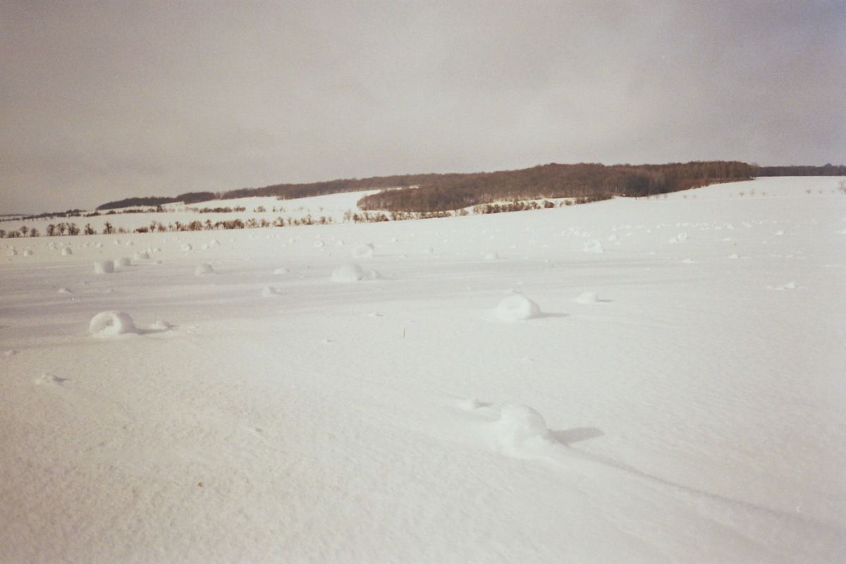 Rolos de neve, o raro fenmeno meteorolgico que cria esculturas naturais 05