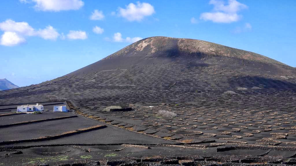 As incrveis videiras vulcnicas da ilha Lanzarote 06