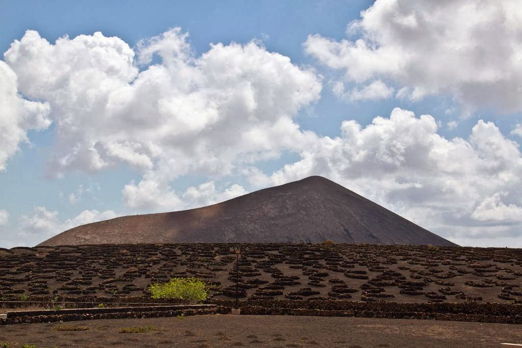 As incrveis videiras vulcnicas da ilha Lanzarote 15