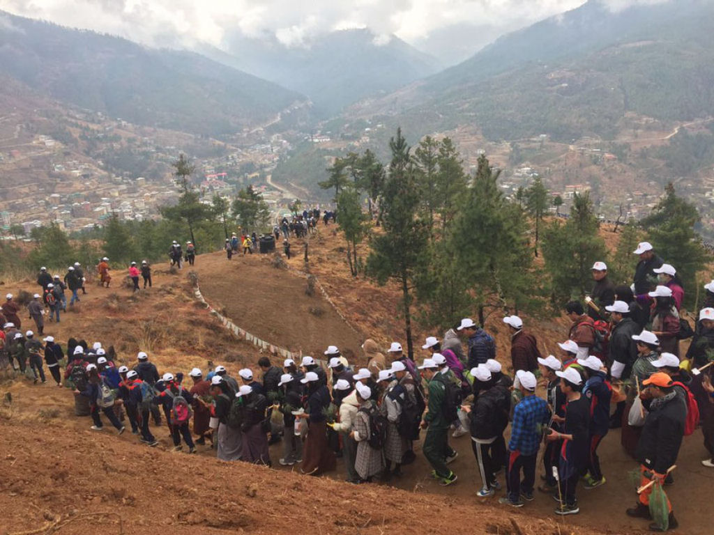 Buto, o pas mais ecolgico do mundo, celebra o nascimento de seu prncipe plantando 108.000 rvores 03