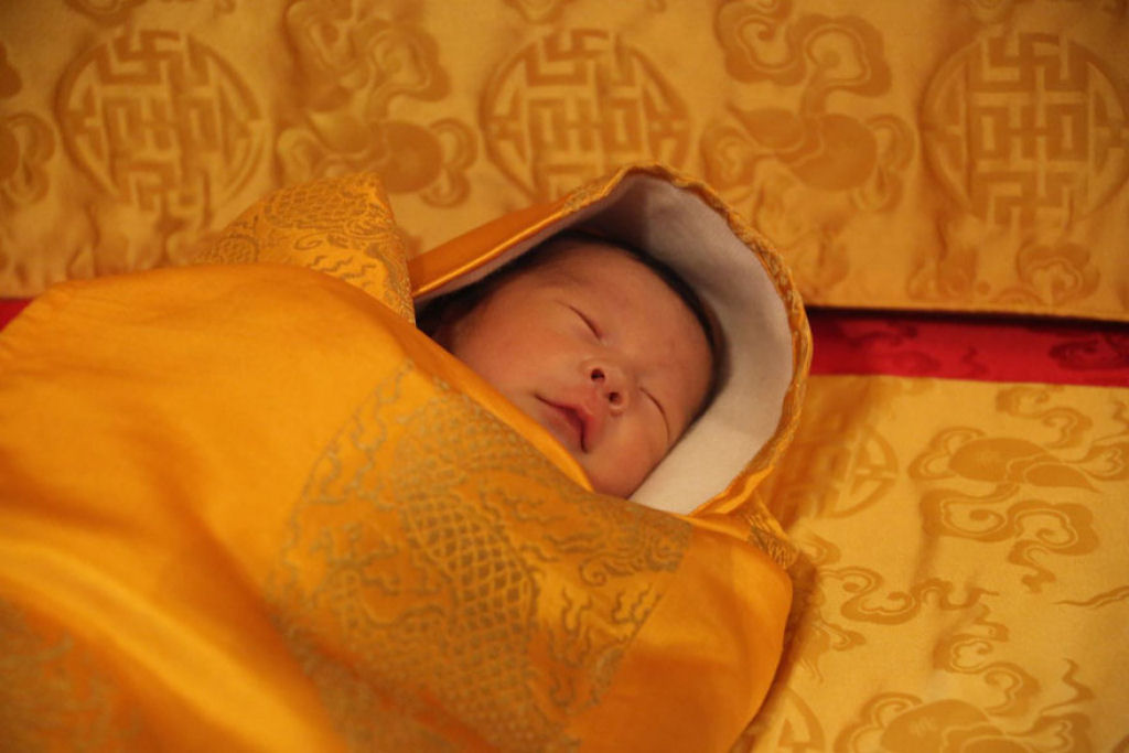 Buto, o pas mais ecolgico do mundo, celebra o nascimento de seu prncipe plantando 108.000 rvores 05