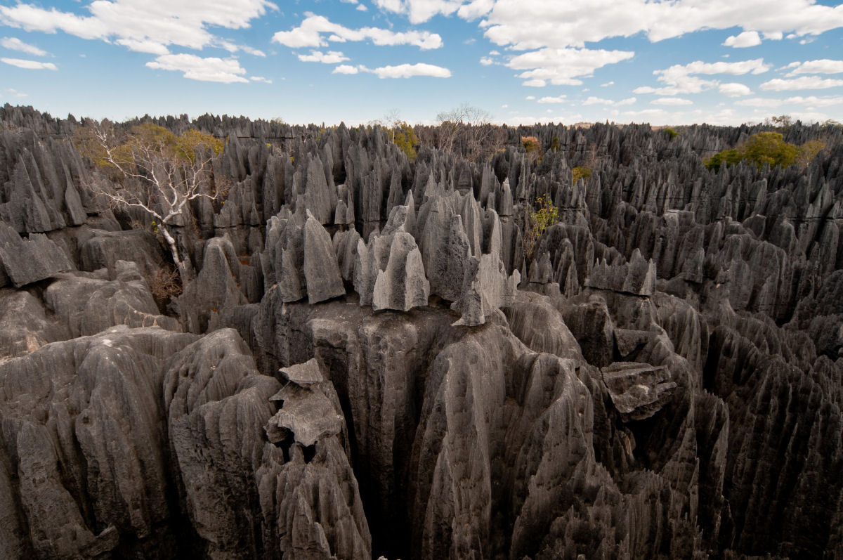 As Forma es Fabulosas Do Parque Nacional Tsingy De Bemaraha Em 