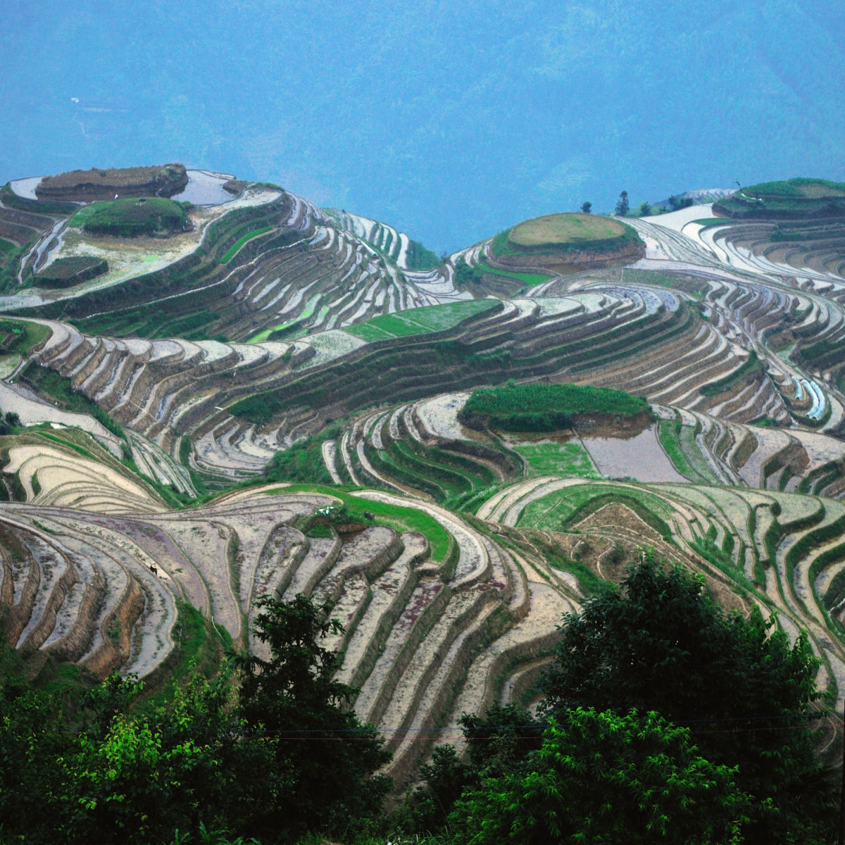 Os belos terraços de arroz de Longsheng, na China
