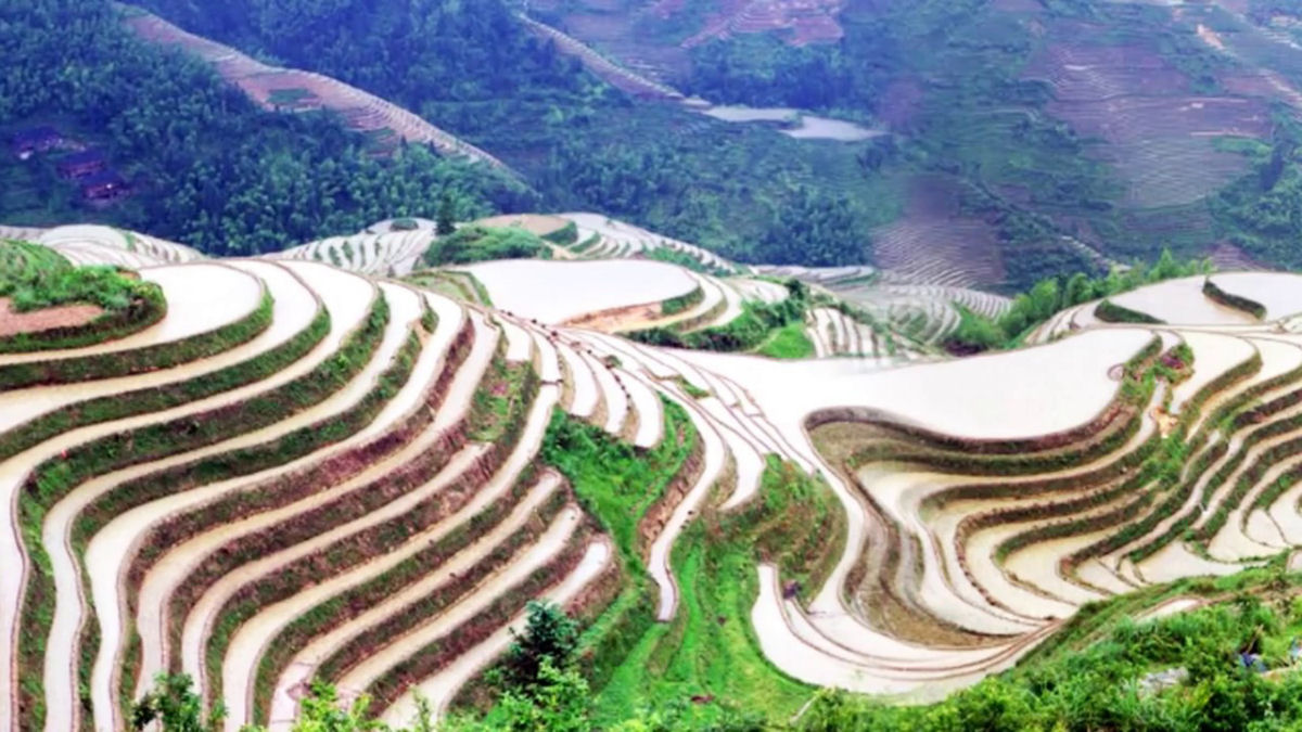 Os belos terraços de arroz de Longsheng, na China