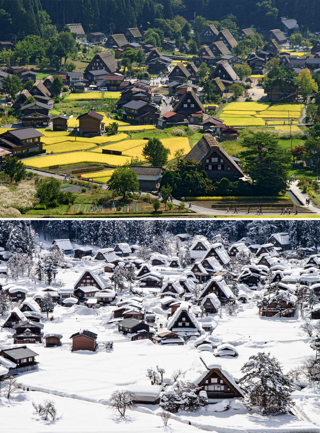 15 fotos de antes e depois da transformações invernais 04