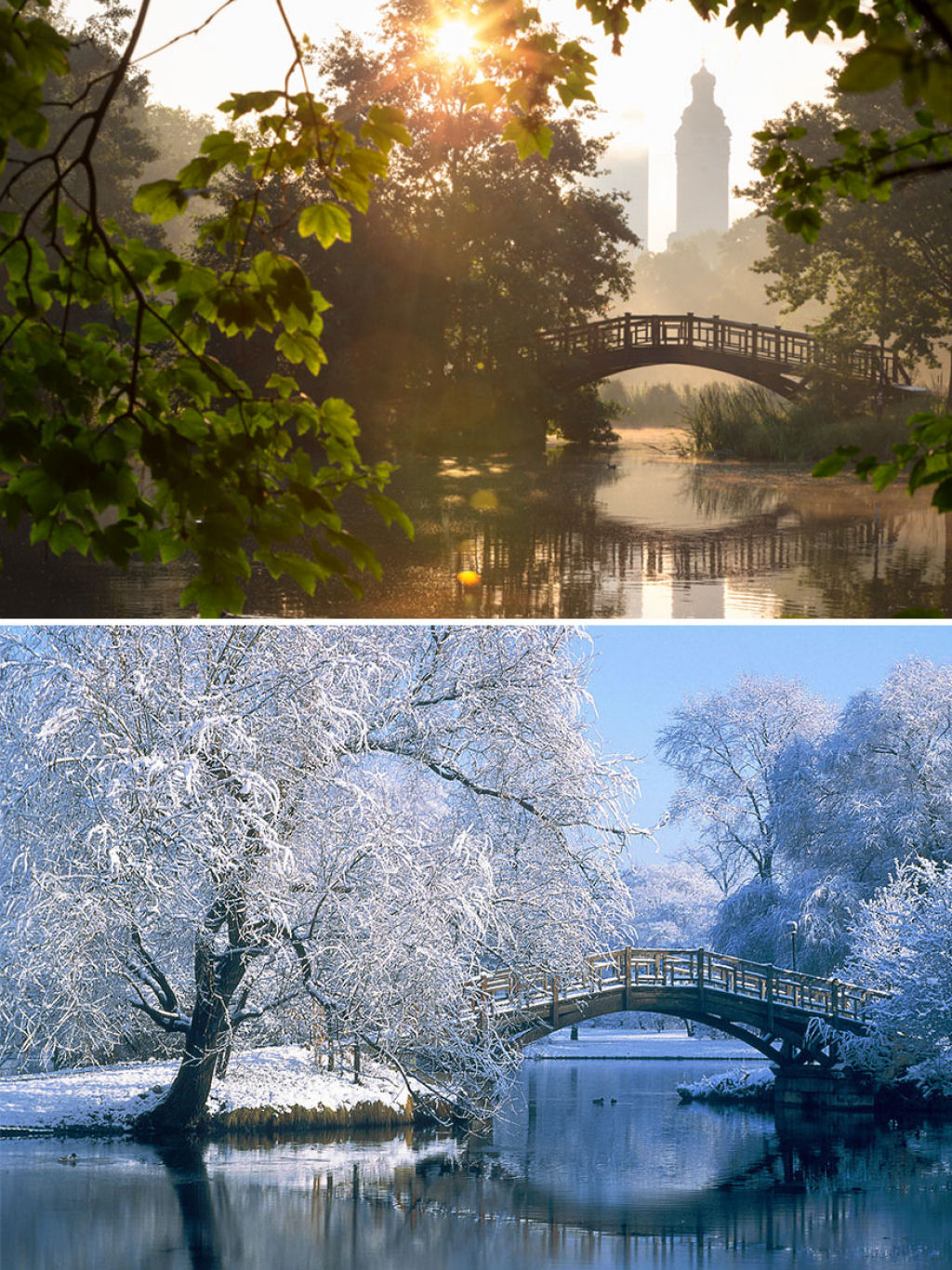 15 fotos de antes e depois da transformações invernais 11
