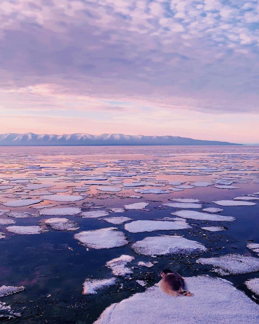 A beleza sobrenatural do lago Baikal no comecinho da primavera 09