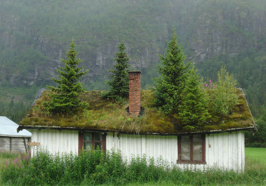 10 casas escandinavas com telhados verdes que parecem sacadas de um conto 01