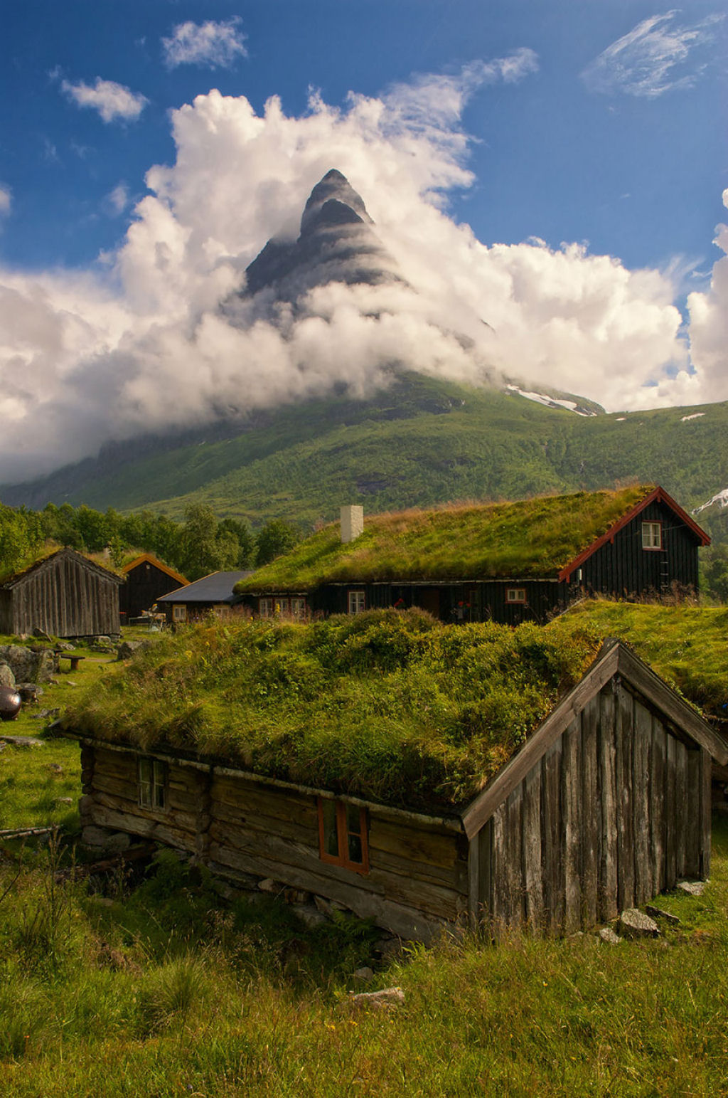 10 casas escandinavas com telhados verdes que parecem sacadas de um conto 03