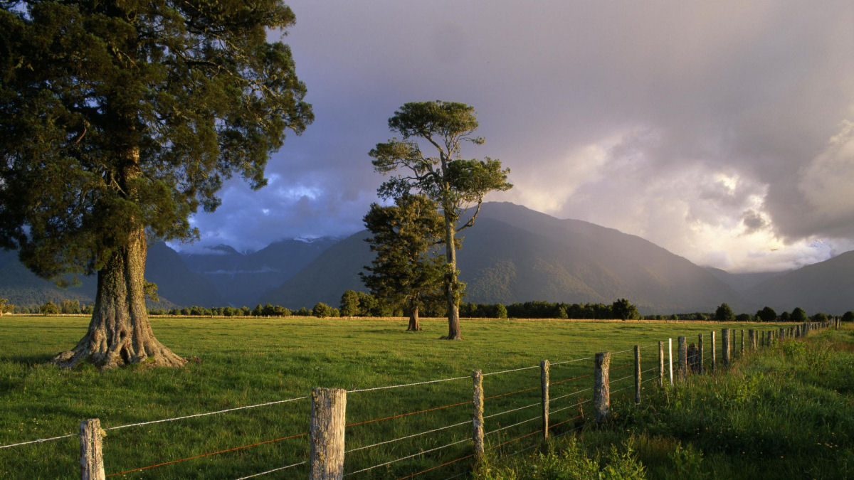 25 fotografias incríveis da ilha mais bonita da Nova Zelândia 03