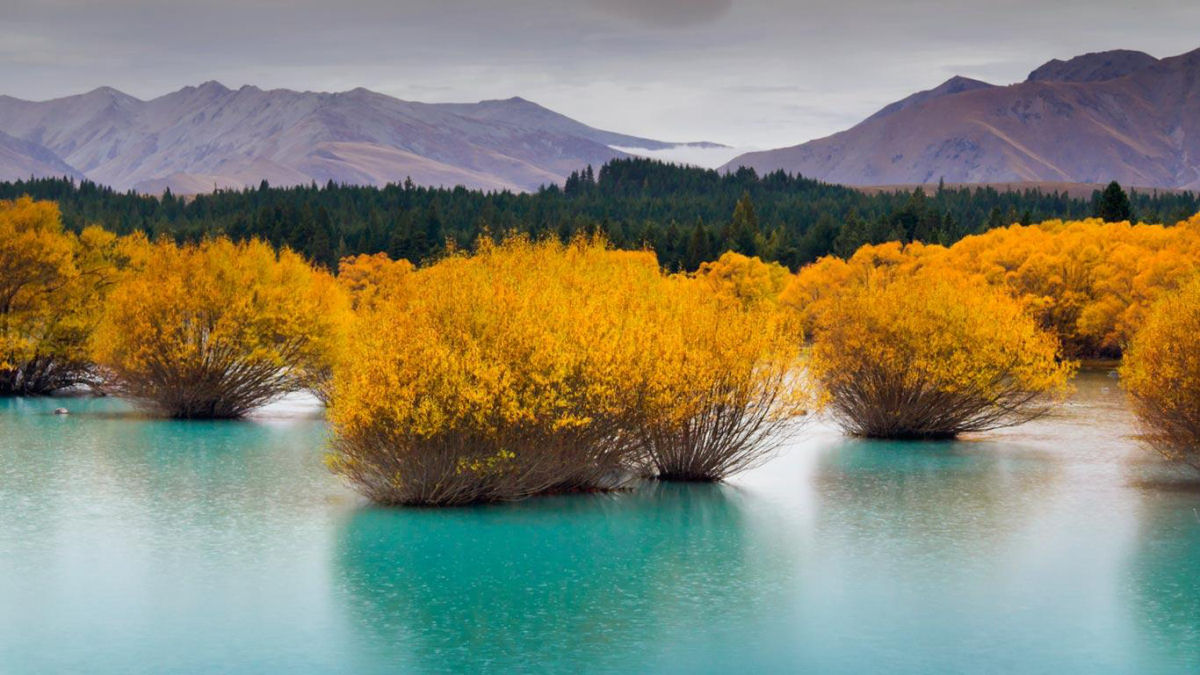 25 fotografias incríveis da ilha mais bonita da Nova Zelândia 08