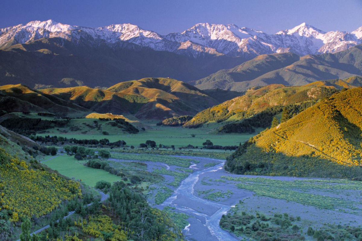 25 fotografias incríveis da ilha mais bonita da Nova Zelândia 17