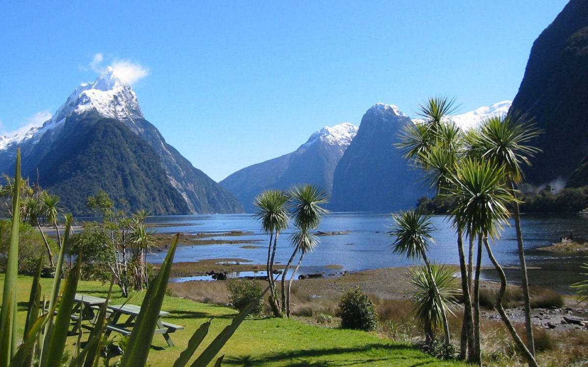 25 fotografias incríveis da ilha mais bonita da Nova Zelândia 19