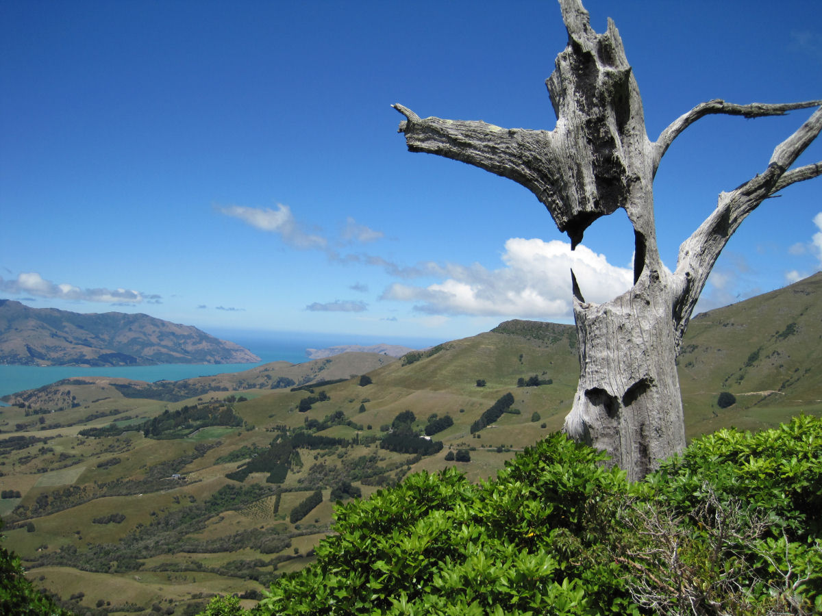 25 fotografias incríveis da ilha mais bonita da Nova Zelândia 20
