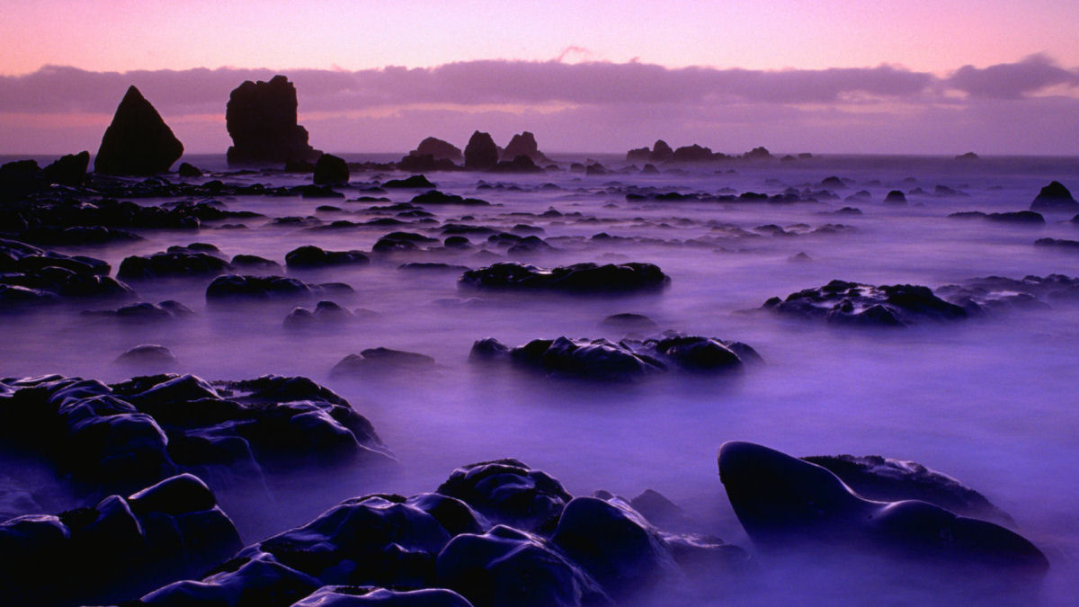 25 fotografias incríveis da ilha mais bonita da Nova Zelândia 24