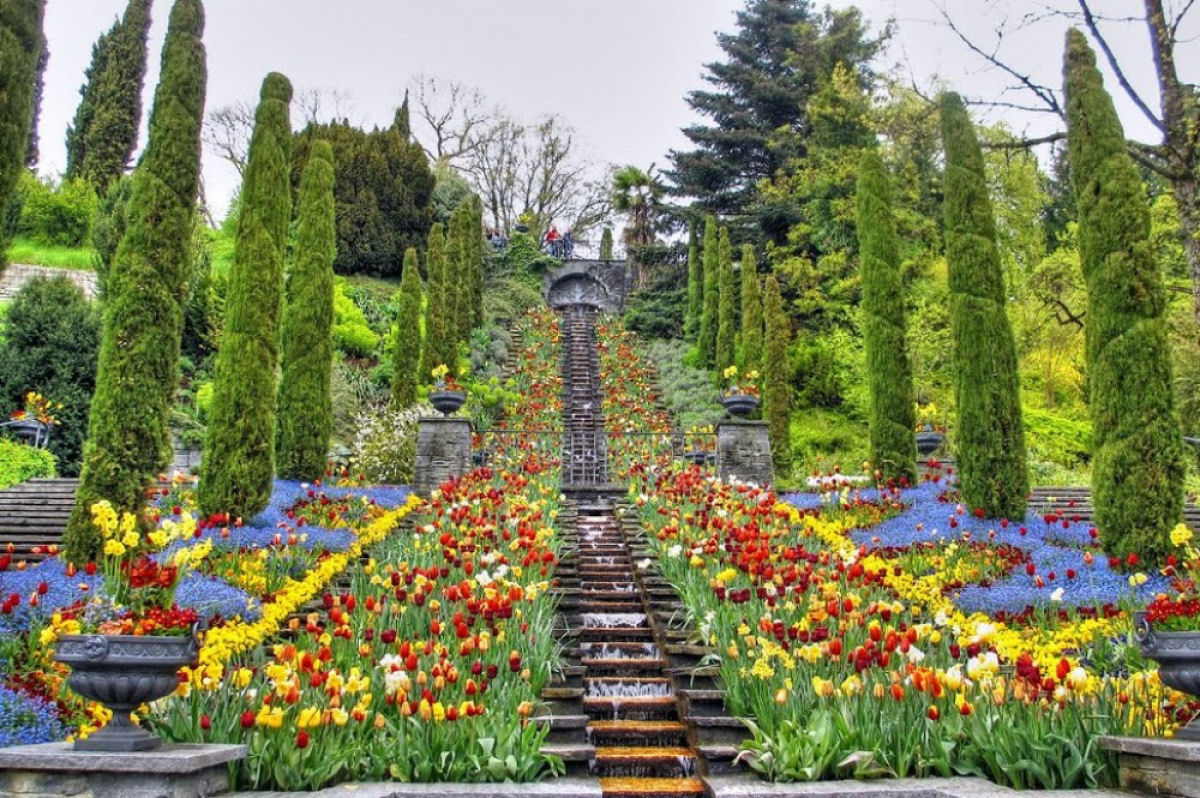 29 lugares incrveis ao redor do mundo que se transformam em jardins celestiais 15
