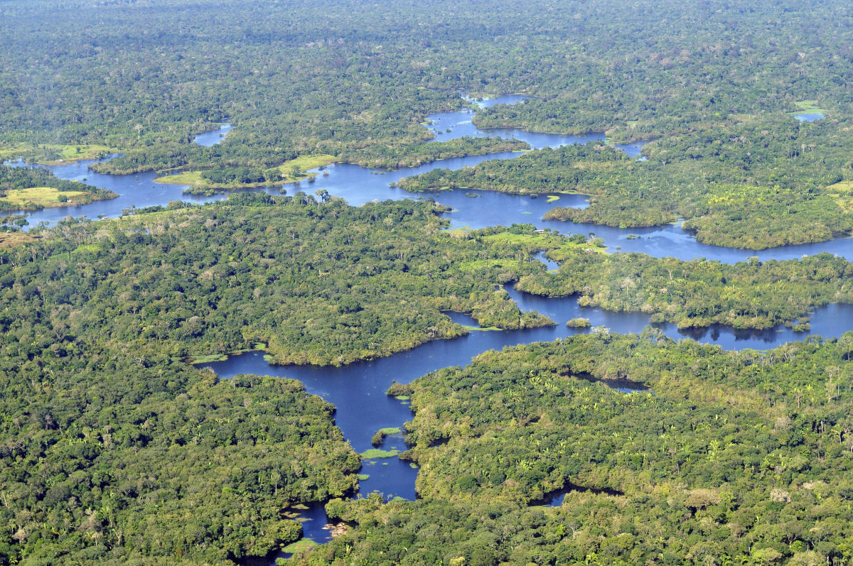 Faça uma calmante jornada pela floresta tropical amazônica