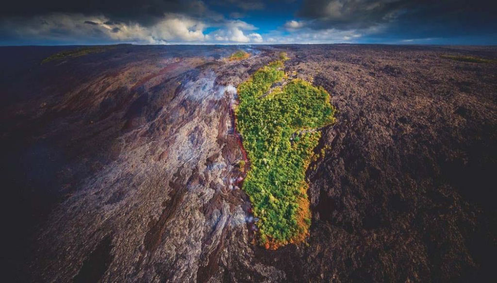 Kīpuka: quando uma 'ilha de vida floresce' no meio da lava estril