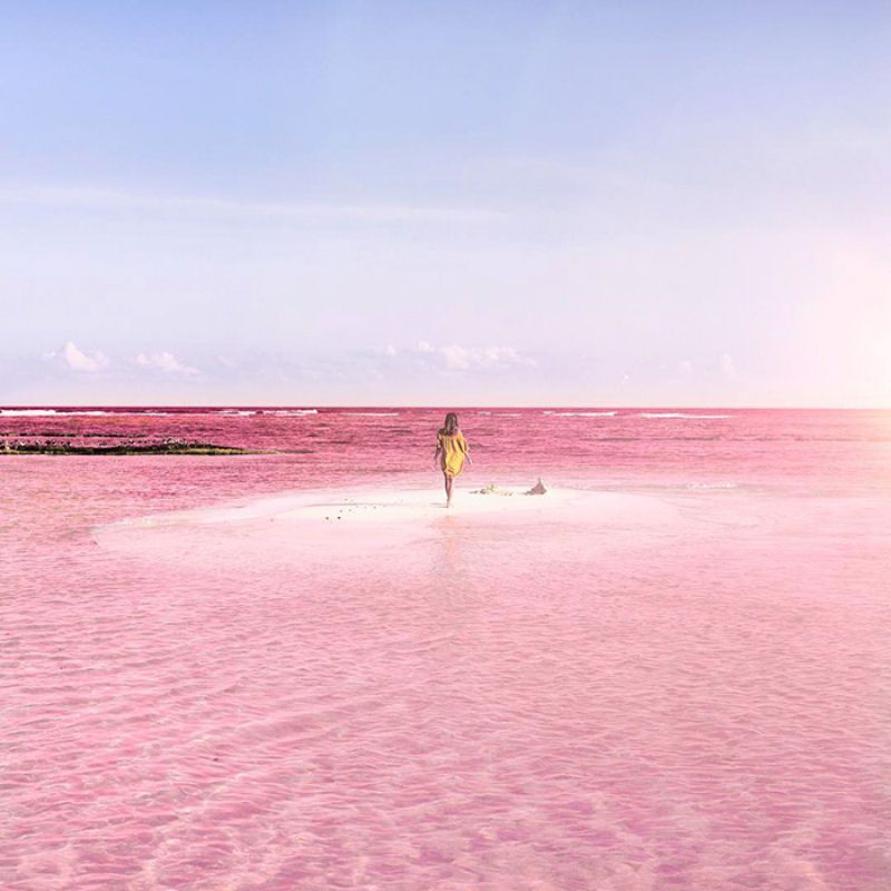 Esta lagoa rosa natural no Mxico parece muito linda para ser real 01