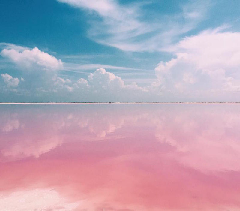 Esta lagoa rosa natural no Mxico parece muito linda para ser real 10