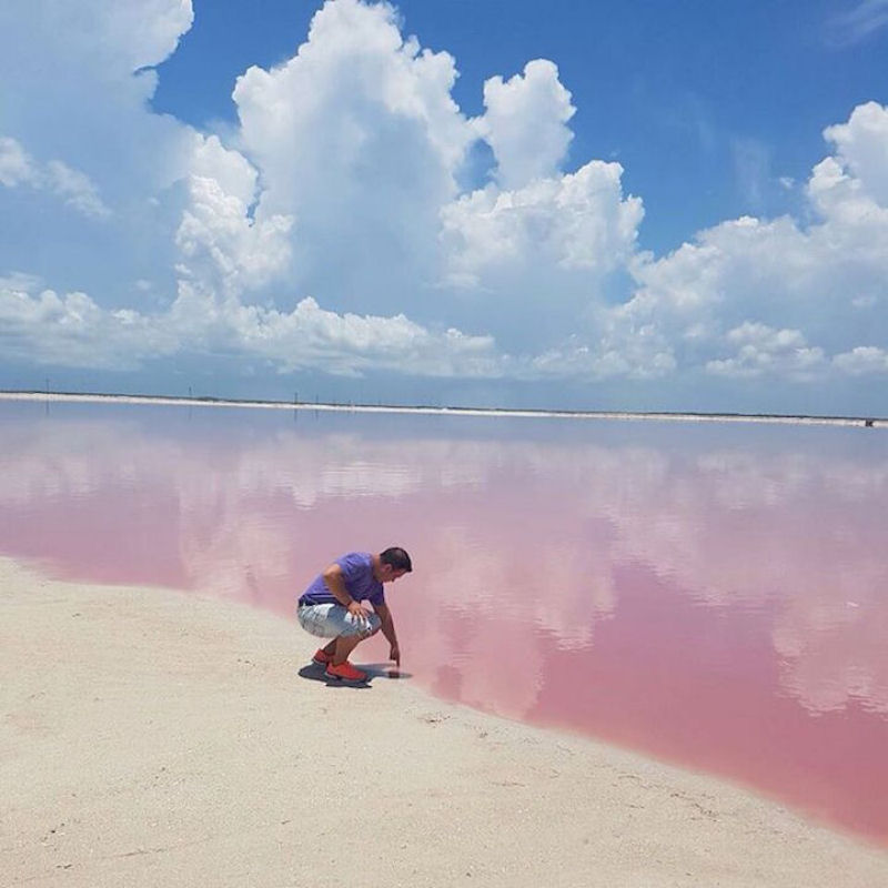 Esta lagoa rosa natural no Mxico parece muito linda para ser real 12