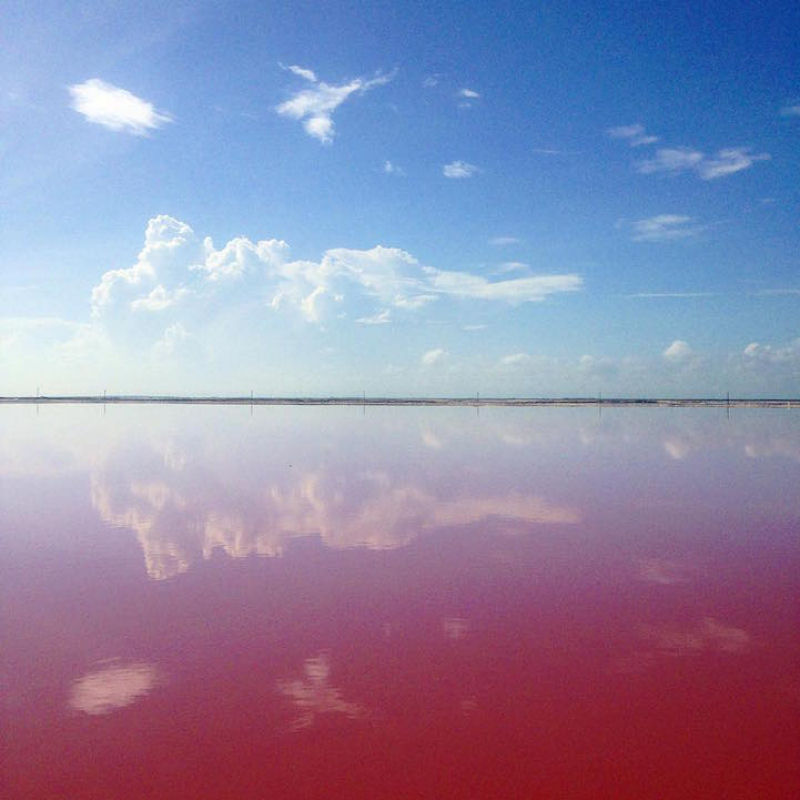 Esta lagoa rosa natural no Mxico parece muito linda para ser real 13