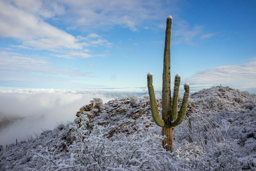 Nevou no deserto do Arizona, e as fotos parecem de outro planeta 03