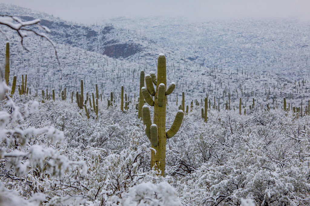 Nevou no deserto do Arizona, e as fotos parecem de outro planeta 04