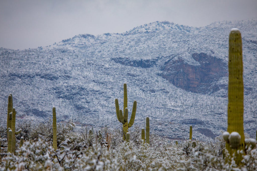 Nevou no deserto do Arizona, e as fotos parecem de outro planeta 05