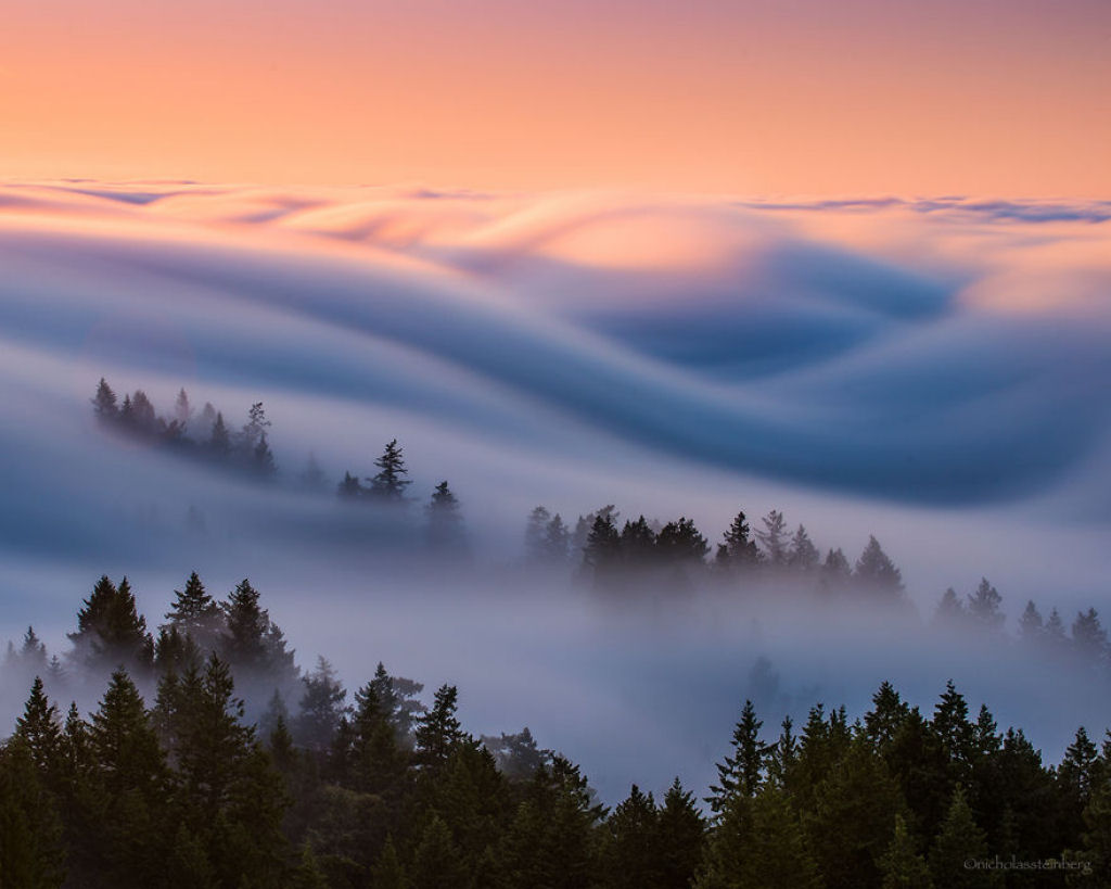 As oníricas ondas de nevoeiro registradas pelo fotógrafo Nick Steinberg 02