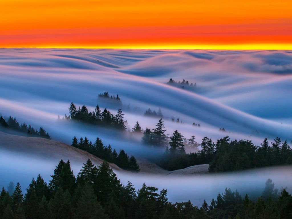As oníricas ondas de nevoeiro registradas pelo fotógrafo Nick Steinberg 06