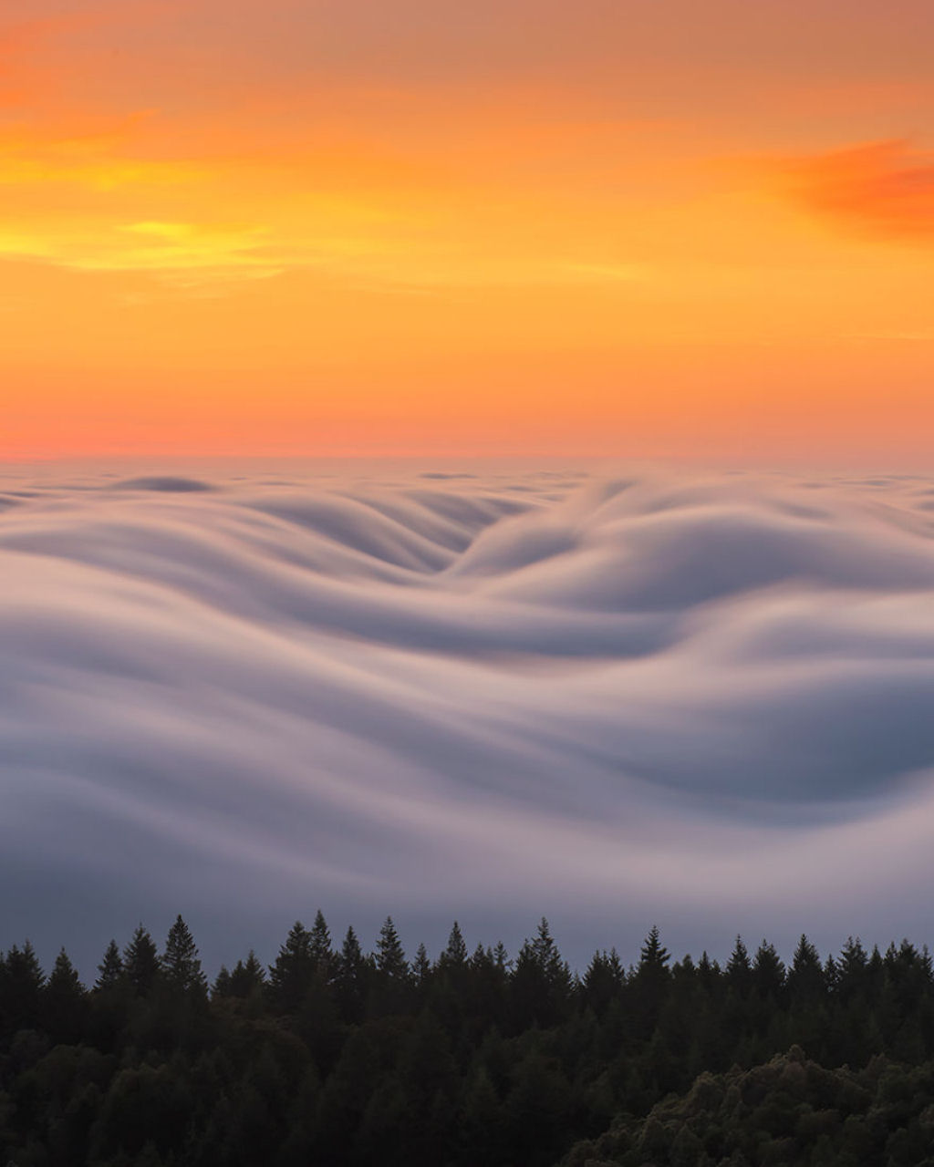 As oníricas ondas de nevoeiro registradas pelo fotógrafo Nick Steinberg 10