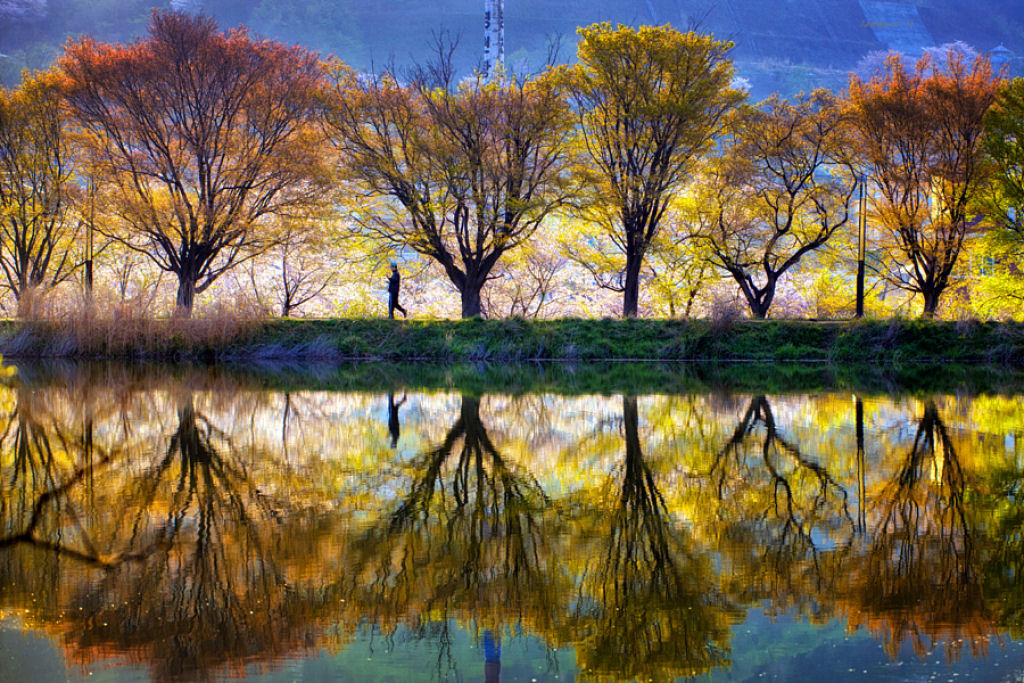 Paisagens deslumbrantes refletidas capturam a beleza da Coreia do Sul 03