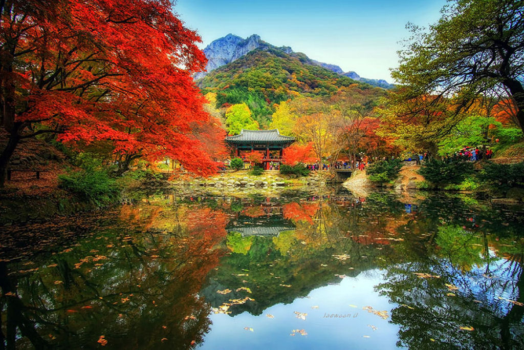 Paisagens deslumbrantes refletidas capturam a beleza da Coreia do Sul 16