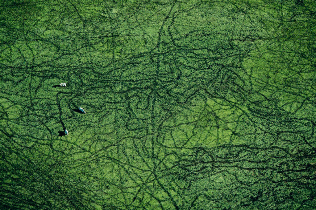 Lindas paisagens aéreas pelo mundo por Yann Arthus-Bertrand 20