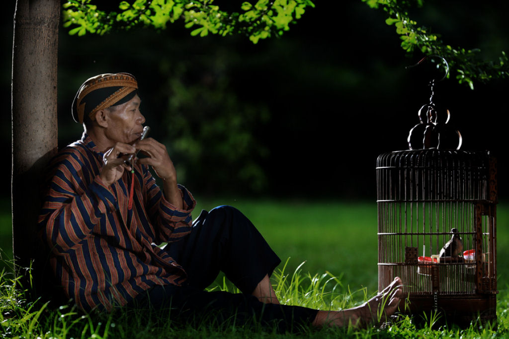 Fotos bucólicas da Indonésia por Dewan Irawan 19