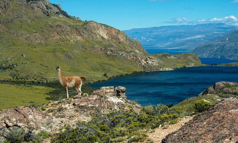 Chile transforma 10 milhes de hectares de terra em parques nacionais protegidos