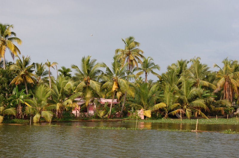 Os incrveis remansos de Kerala, na ndia 09