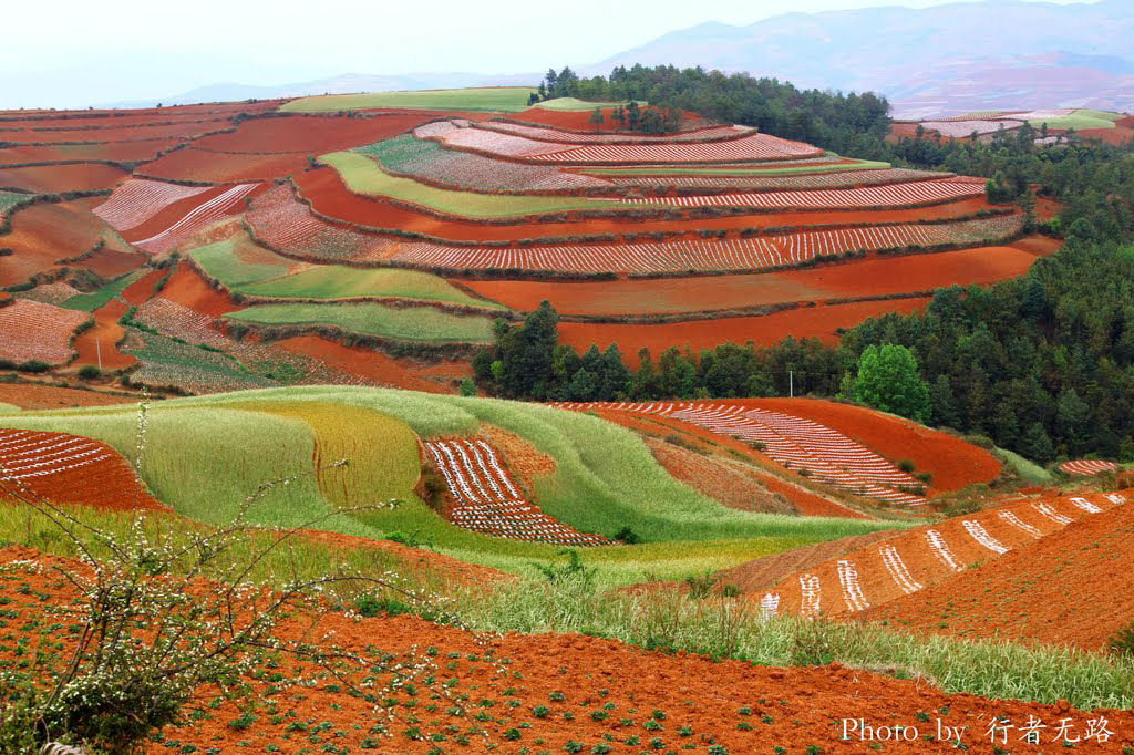 Os terraos de terra vermelha de Dongchuan, na China 09