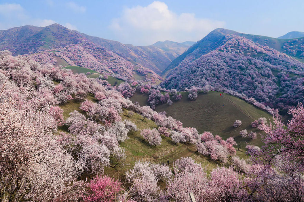 Estas paisagens do Vale do Damasco na China vão roubar o seu fôlego 13