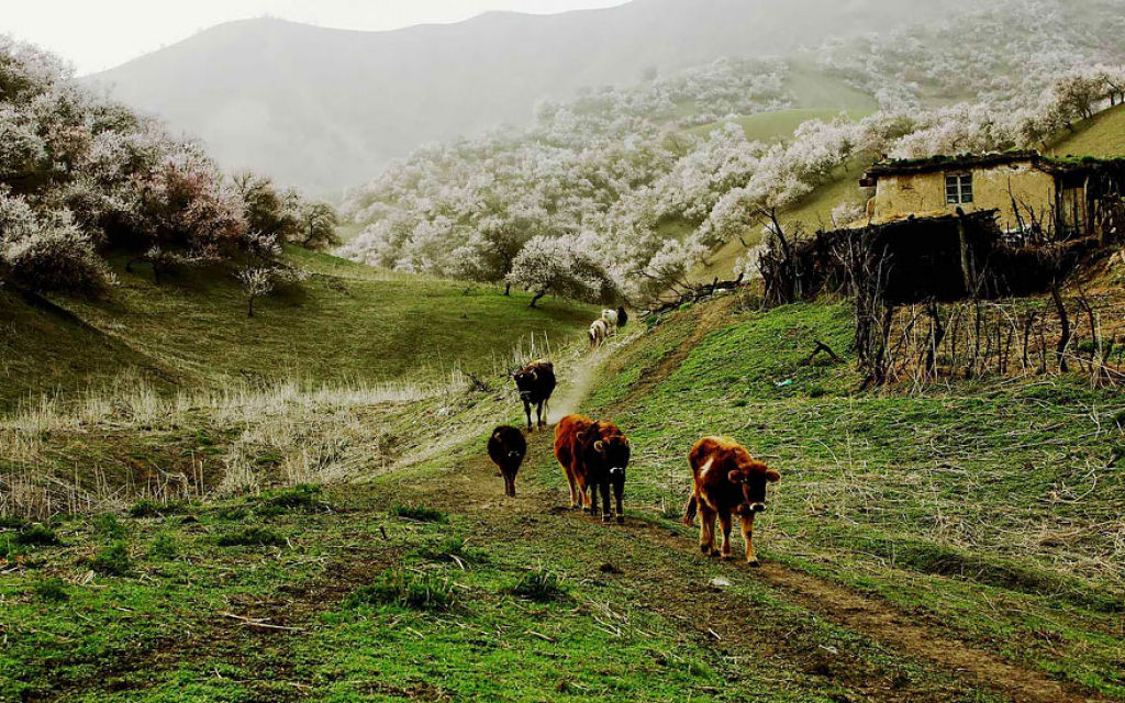 Estas paisagens do Vale do Damasco na China vão roubar o seu fôlego 06