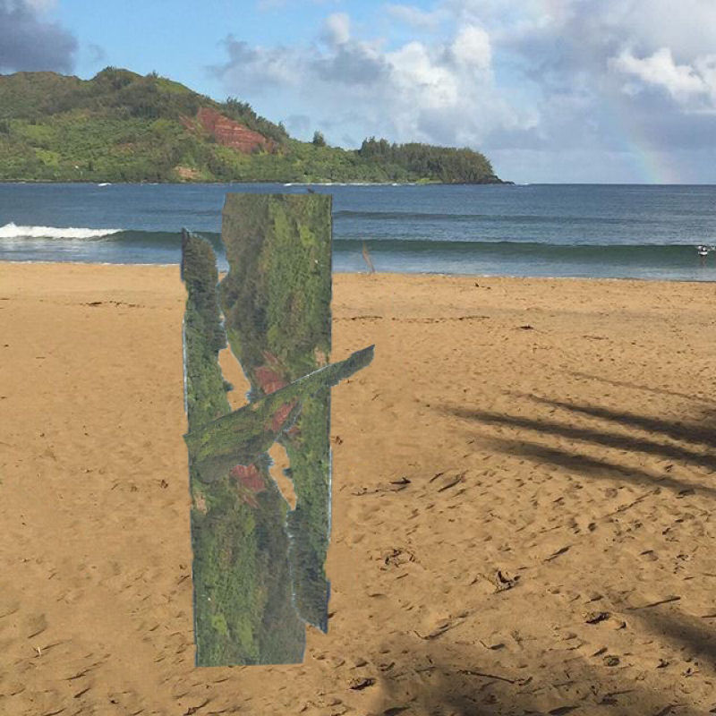 Casal pediu que a internet removesse ilha do fundo de sua foto e arrependeu-se instantaneamente 05