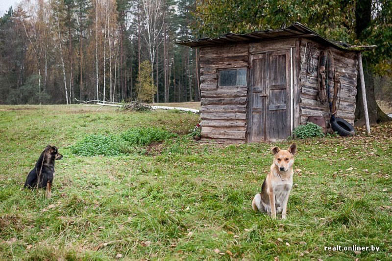 Eremitas bielorrussos vivem h 20 anos sem gs, eletricidade e gua encanada 41
