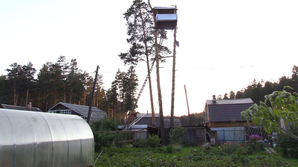 Russo constri casa na rvore no terreno dos vizinhos enquanto eles estavam de frias