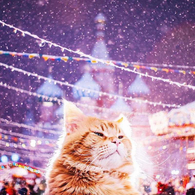 A cidade de Moscou e seu aspecto de conto de fadas durante o Natal ortodoxo 13