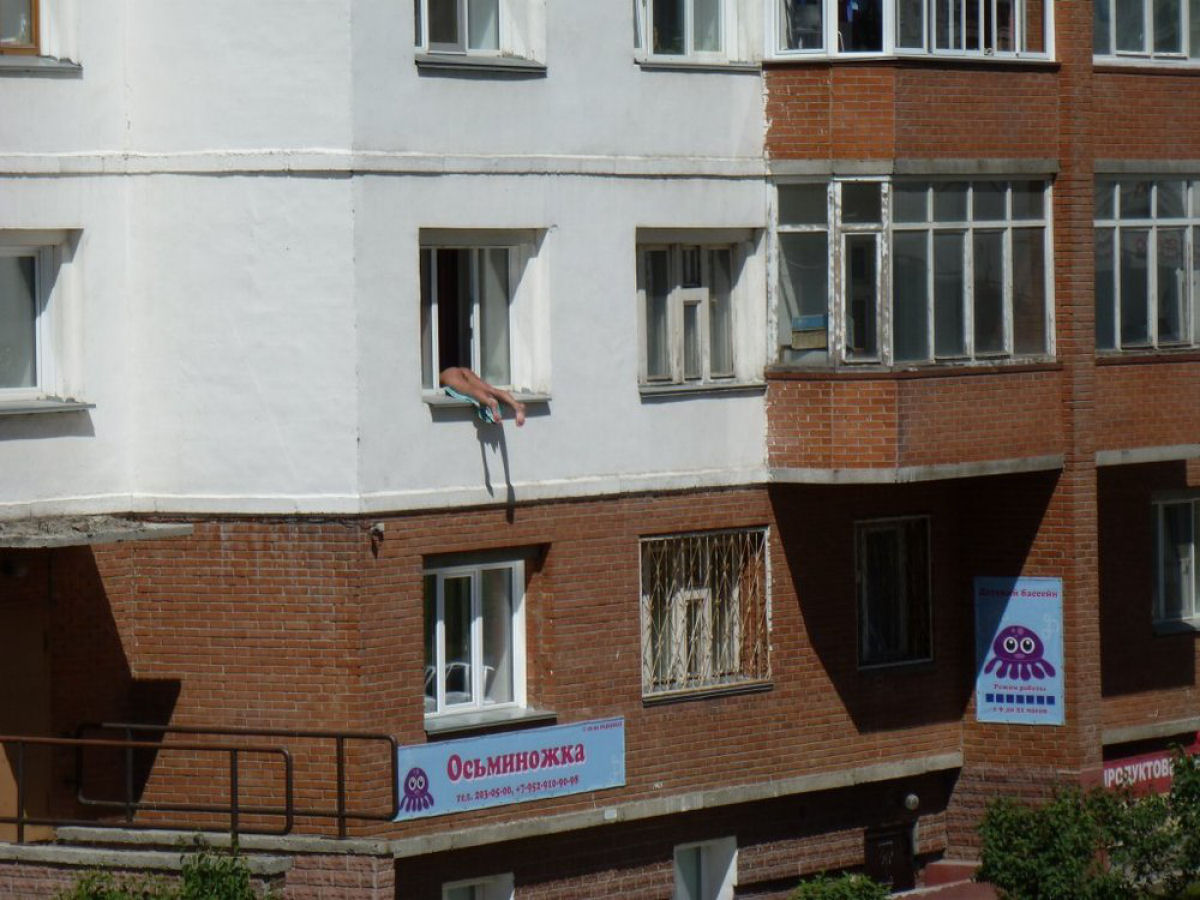 Russa tomando banho de sol na janela de seu apartamento desperta a ira dos vizinhos