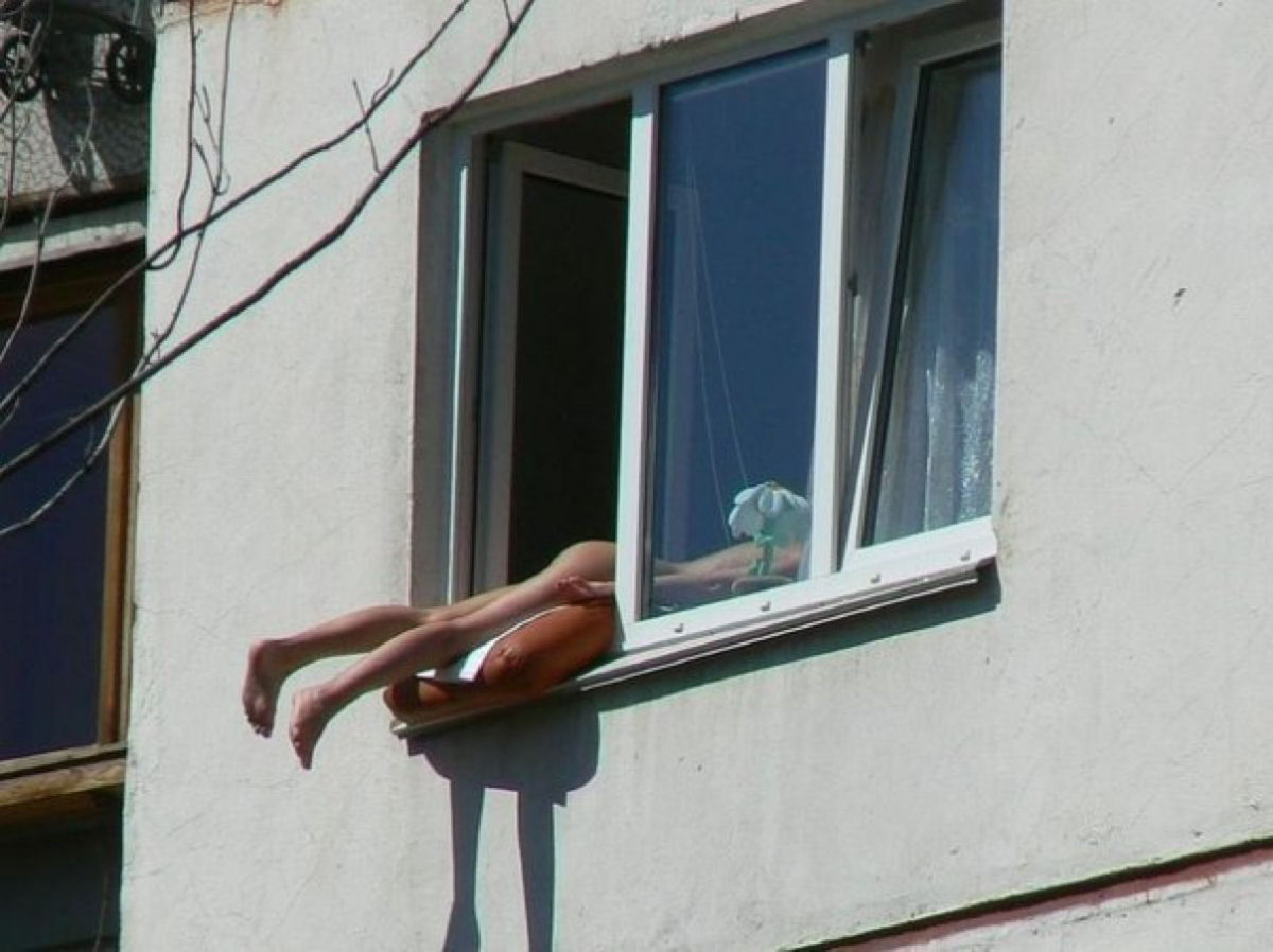 Russa tomando banho de sol na janela de seu apartamento desperta a ira dos vizinhos