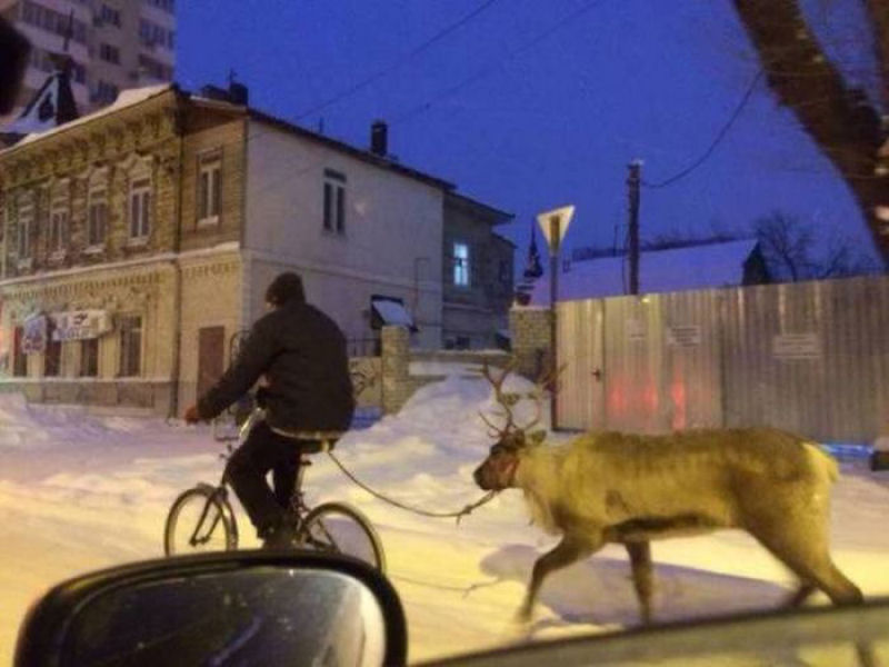 As fotos mais estranhas dos sites de mídia social russa 12